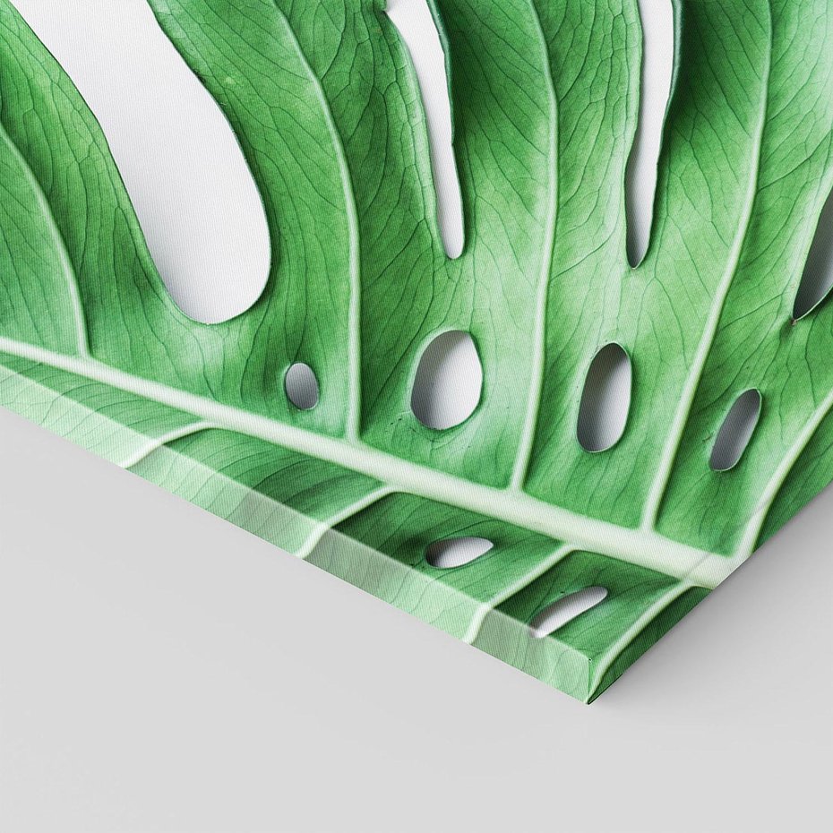 Obraz na płótnie 120x80 - Monstera - Liście Kwiaty - monstera, liście