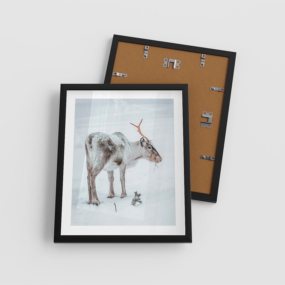 Plakat w ramie 40x50 - Magia Świąt - renifer na śniegu, śnieg - rama czarna