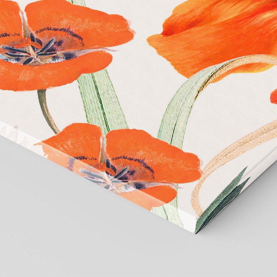 Obraz na płótnie 100x50 - Polne Kwiaty - polne kwiaty, na białym tle