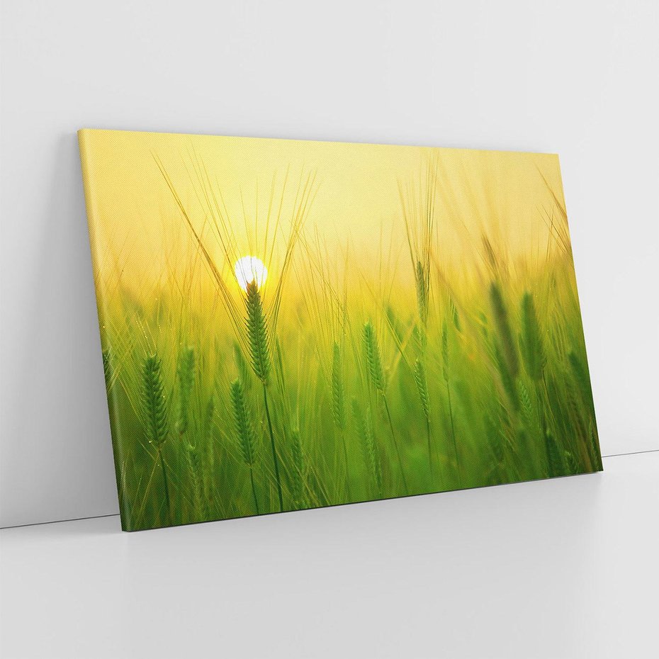 Obraz na płótnie 120x80 - Zboże w kłosach: Oda do plonów natury - zboże, kłos