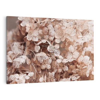 Obraz na płótnie 120x80 - Przemijająca Piękność - fotografia, zbliżenie