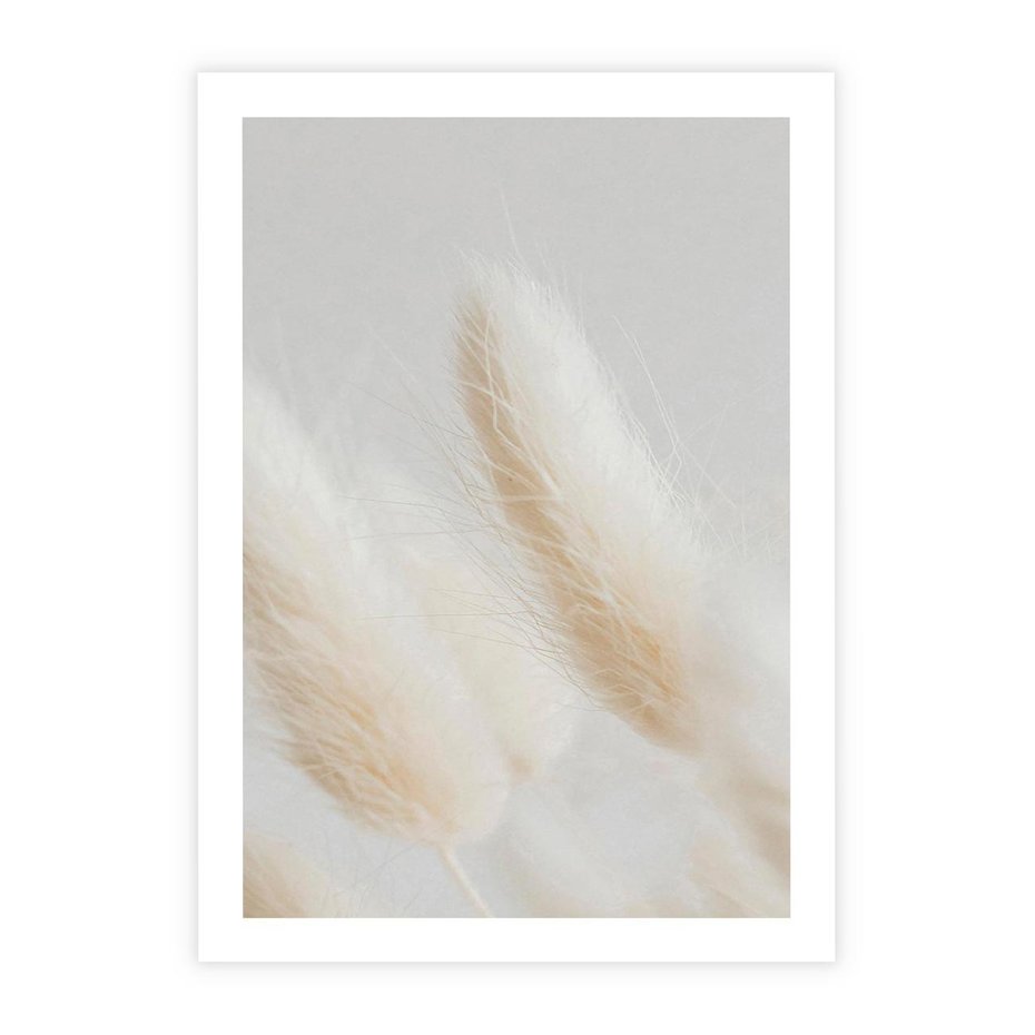 Plakat bez ramy 21x30 - Czysty Minimalizm - białe trawy, minimalizm