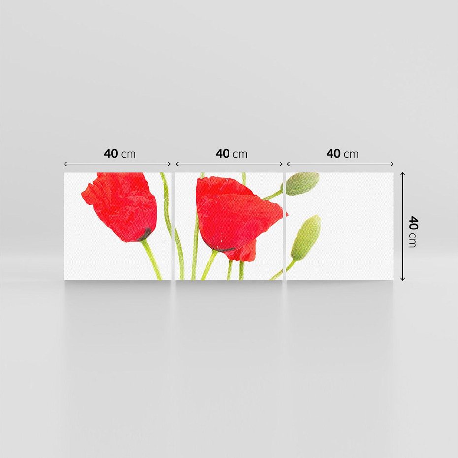 Obraz na płótnie 120x40 - Pola maków w pełnym kolorze - maki, kwiaty