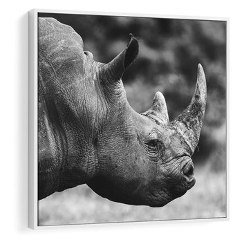 Obraz w ramie 50x50 - Potęga Afryki - czarno biała fotografia, zbliżenie na postać nosorożca - rama biała