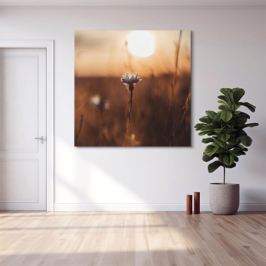 Obraz na płótnie 30x30 - Spokój łąki pod zachodem słońca - zachód, słońca