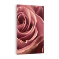 Obraz na płótnie 80x120 - Romantyczna Róż - róża, kwiat