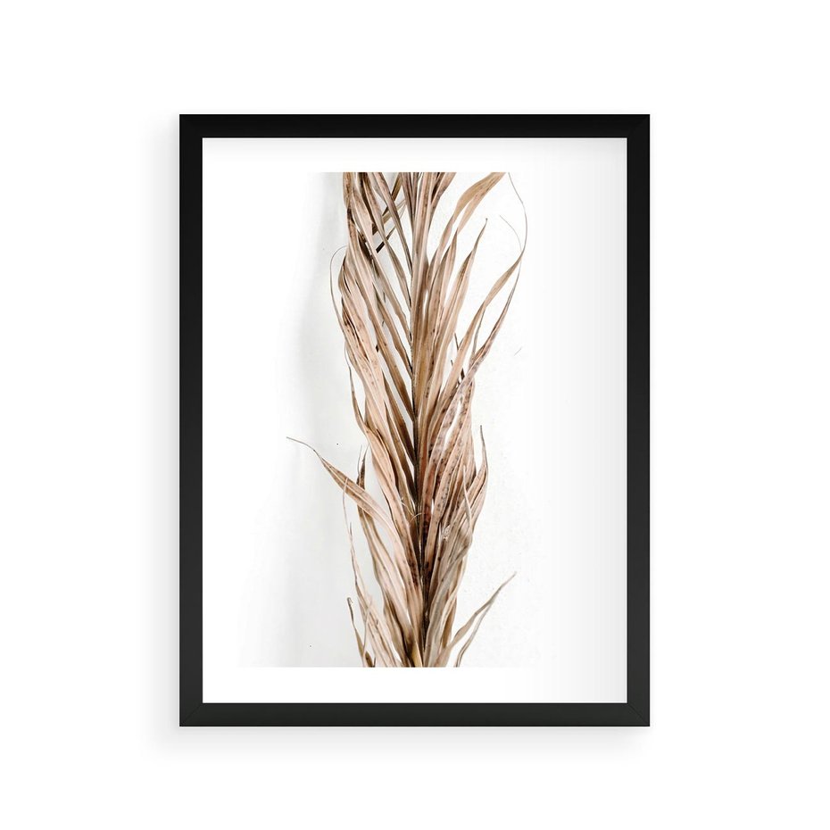 Plakat w ramie 30x40 - Minimalizm Palmowy: Sucha Uroda - sucha palma, minimalizm - rama czarna