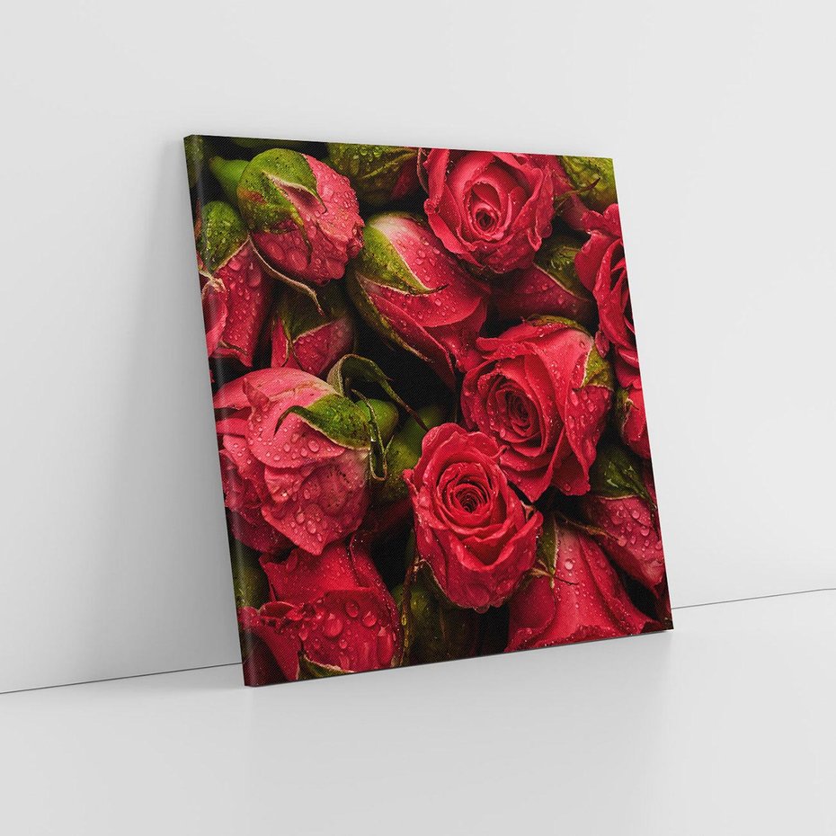 Obraz na płótnie 60x60 - Piękno róż: delikatność natury - róże, kwiaty