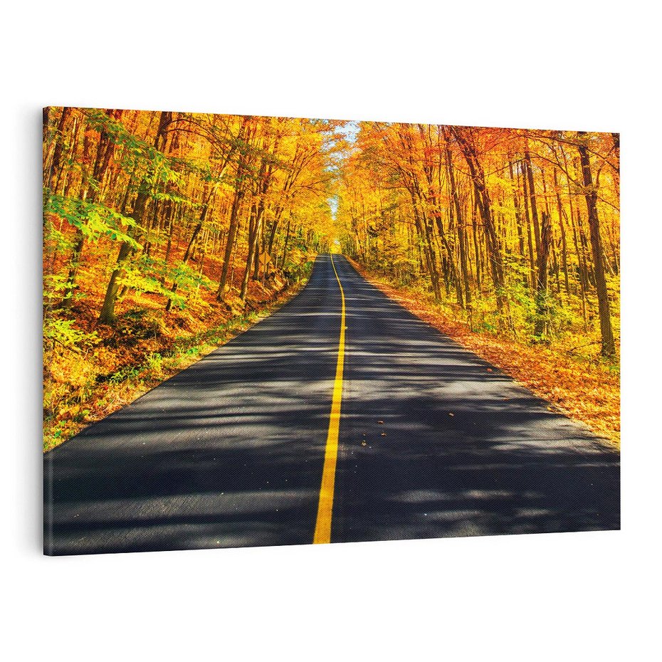 Obraz na płótnie 100x70 - Droga przez jesienny las - droga, las