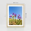 Plakat w ramie 30x40 - Kwiatowa siła łąki - kwiaty, łąka - rama drewno