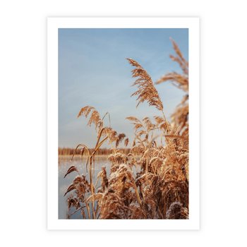 Plakat bez ramy 21x30 - Wyraz Stylu - trawy, boho