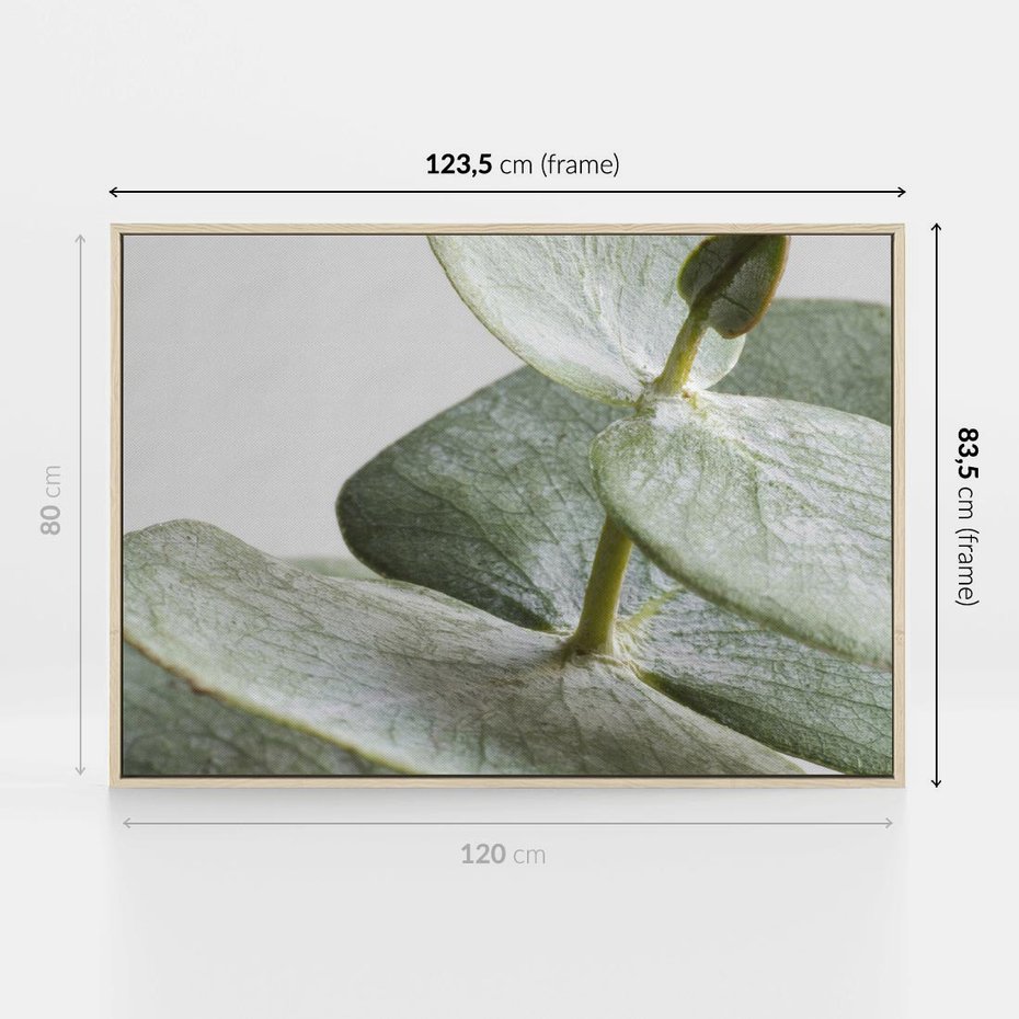 Obraz w ramie 120x80 - Eukaliptusowa zieleń - eukaliptus, zielone - rama drewno