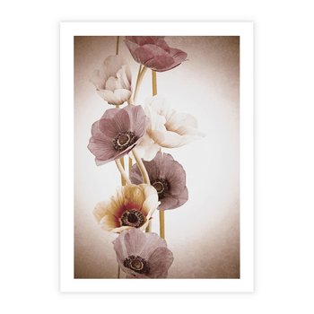 Plakat bez ramy 21x30 - Eksplozja kolorów - akwarela, maki