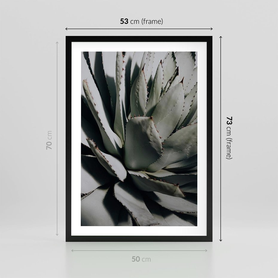 Plakat w ramie 50x70 - Egzotyczny Raj - sukulenty, kaktusy - rama czarna