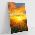 Obraz na płótnie 50x70 - Magia zachodu słońca na łące z makami - łąka, zachód słońca