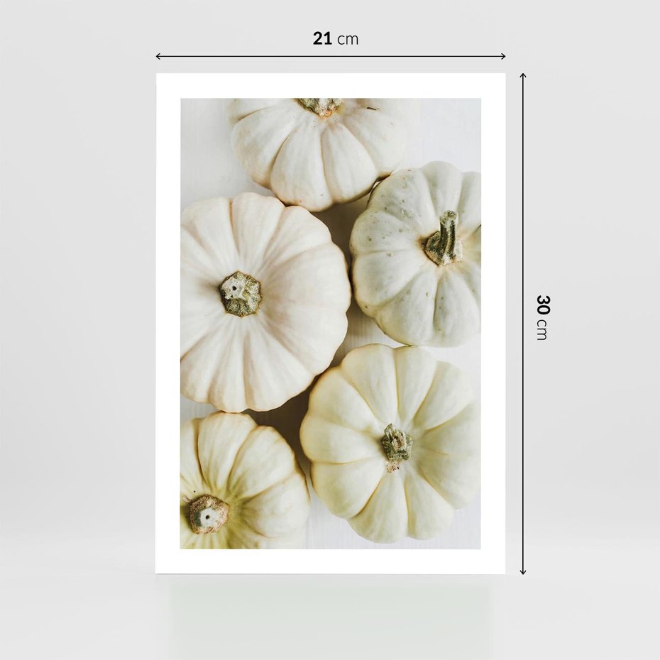 Plakat bez ramy 21x30 - Jesienne Dynie: Delikatna Kompozycja - białe dynie, jasna kompozycja