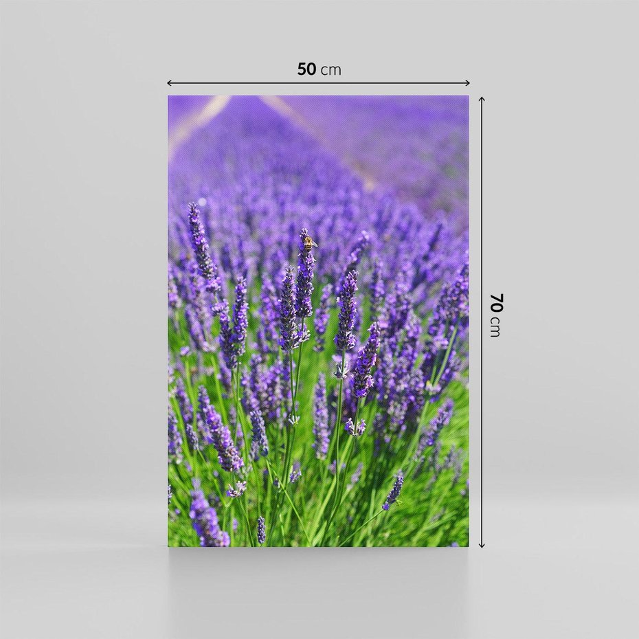 Obraz na płótnie 50x70 - Lawendowe pola piękno natury - lawenda, kwiaty