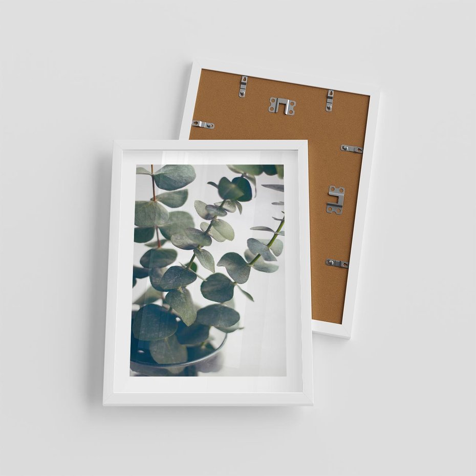 Plakat w ramie 30x40 - ukaliptusowa Harmonia - liście eukaliptusa - rama biała