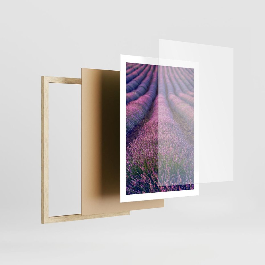 Plakat w ramie 50x70 - Pole Lawendy w Pełnej Krasie - pole lawendy, kompozycja - rama drewno