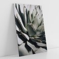 Obraz na płótnie 50x70 - Sukulenty wśród kaktusów - sukulenty, kaktusy