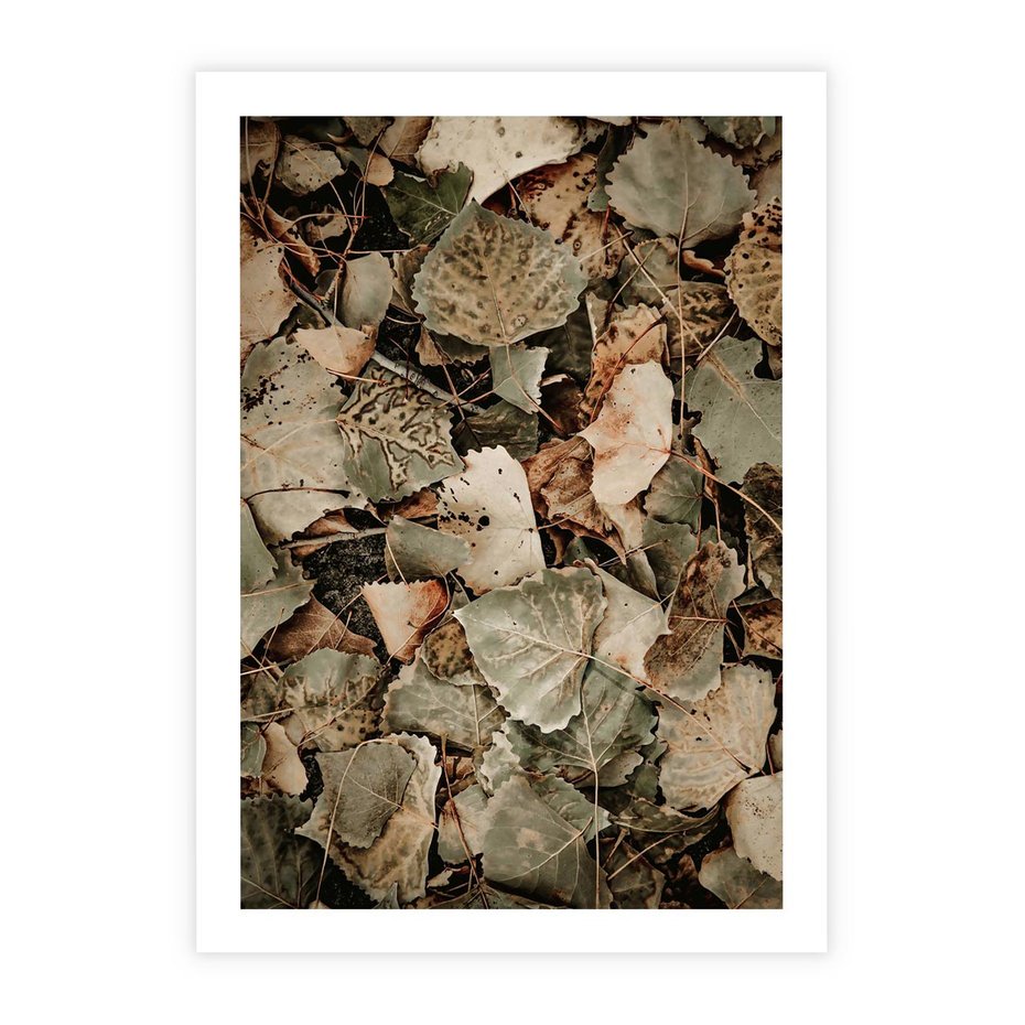 Plakat bez ramy 40x50 - Magia Jesiennych Liści - liście, suche liście