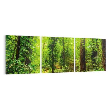 Obraz na płótnie 150x50 - Współistnienie z naturą - drzewa, las