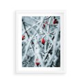 Plakat w ramie 40x50 - Zima na Gałęziach - zima, oszronione gałęzie - rama biała