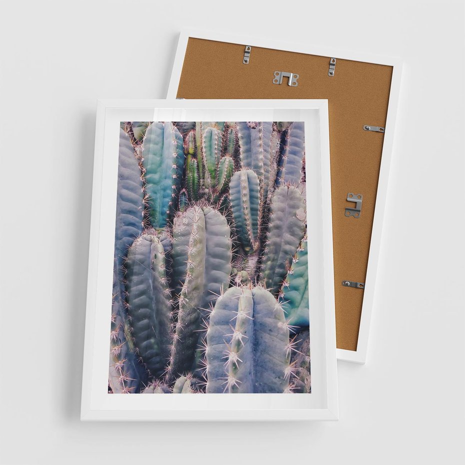Plakat w ramie 50x70 - Kaktusowy Raj - kaktusy, dużo kaktusów - rama biała