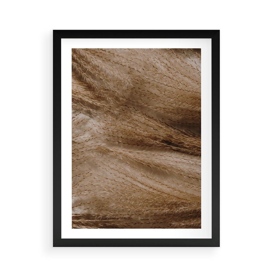 Plakat w ramie 50x70 - Pampasowy Brąz - suche trawy, trawa pampasowa - rama czarna