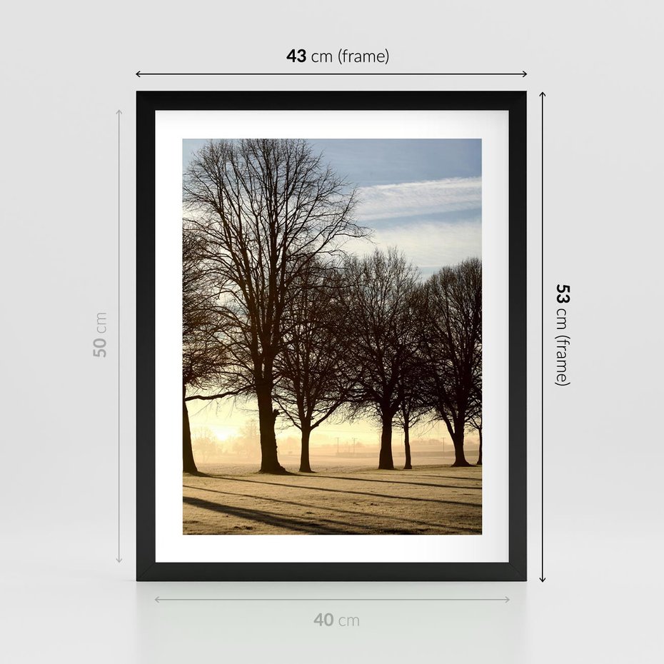 Plakat w ramie 40x50 - Siła natury - drzewa, pole - rama czarna