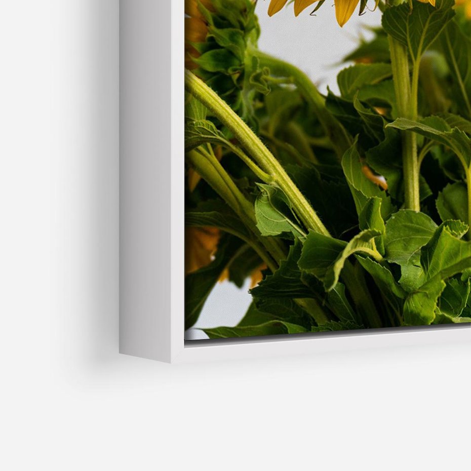 Obraz w ramie 120x80 - Słoneczna Radość - fotografia, żółte słoneczniki - rama biała