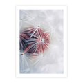 Plakat bez ramy 30x40 - Minimalistyczna Delikatność - zbliżenie, dmuchawce