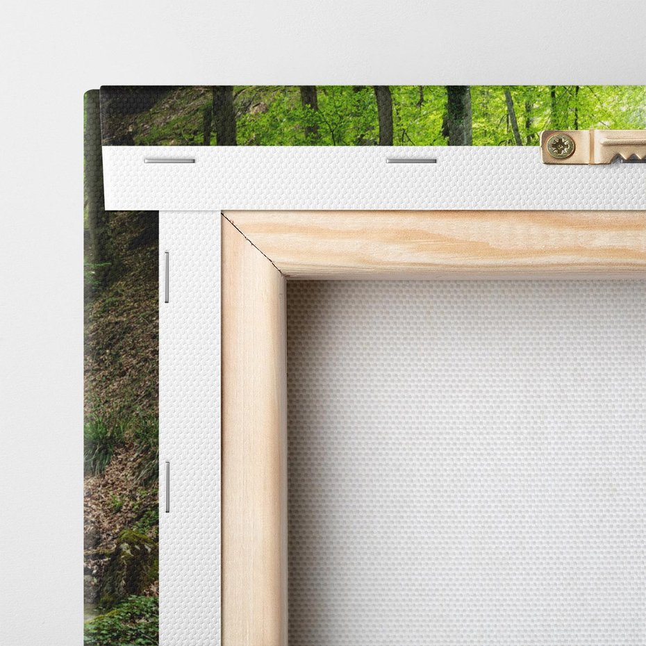 Obraz na płótnie 70x100 - Plączący się strumień - rzeka, strumień