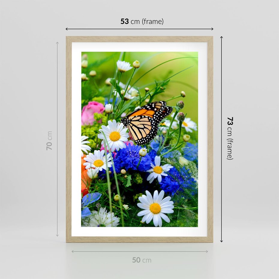 Plakat w ramie 50x70 - Kwiatowy Taniec - motyl, kwiaty - rama drewno