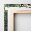 Obraz na płótnie 30x30 - Spotkanie z Niedźwiedziem w Lesie - niedźwiedź, las