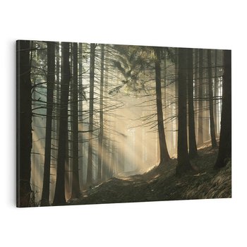 Obraz na płótnie 100x70 - Urok lasu: drzewa w pełnej okazałości - las, drzewa