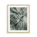 Plakat w ramie 40x50 - Palmy w Zgaszonej Zieleni - palmy, tropikalne liście - rama drewno