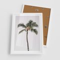 Plakat w ramie 50x70 - Wakacyjne Marzenia - palma na tle nieba - rama biała