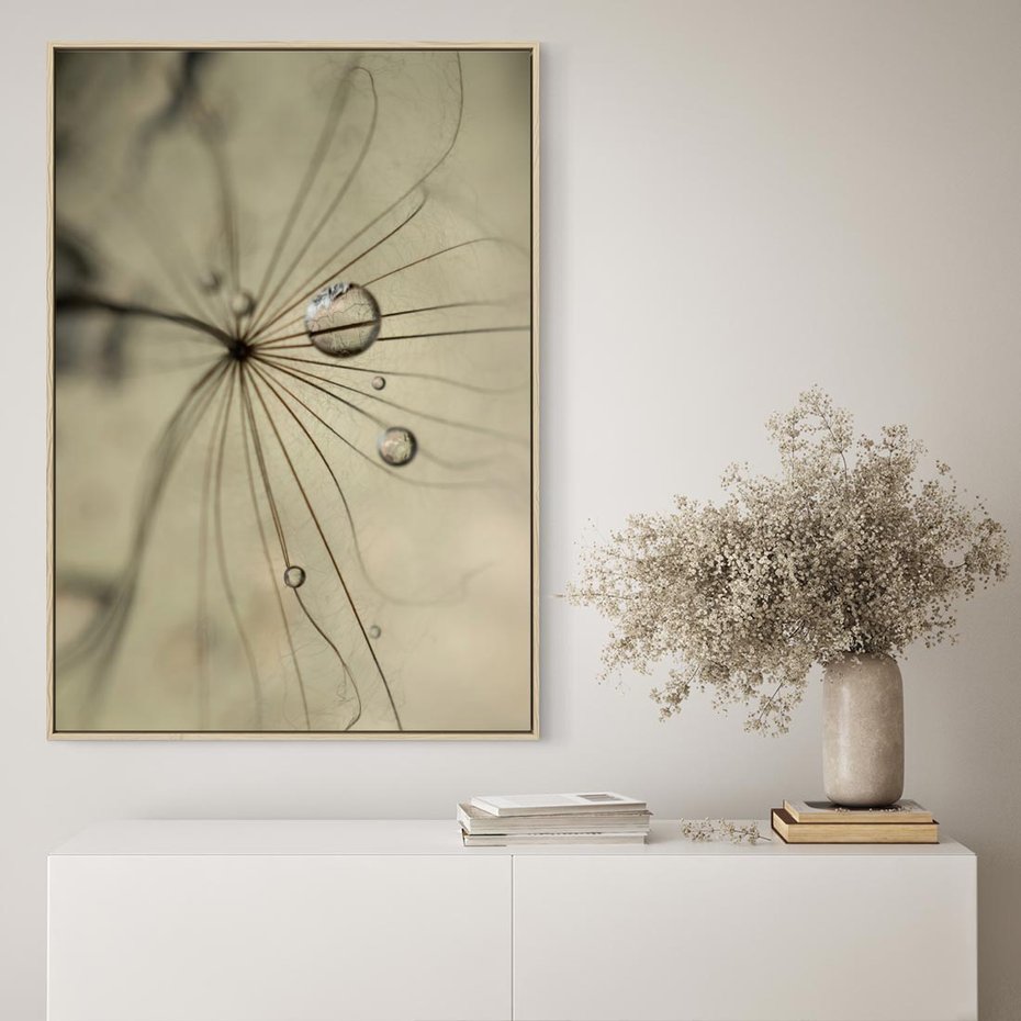 Obraz w ramie 80x120 - Delikatność dmuchawców - dmuchawce, krople - rama drewno