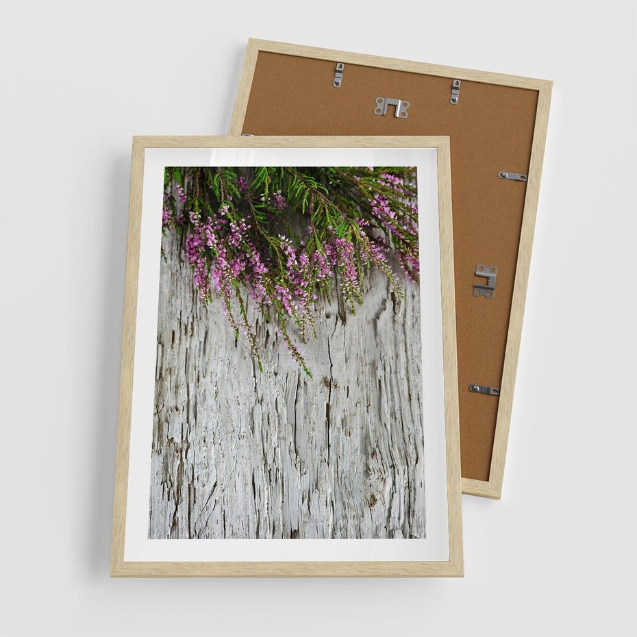 Plakat w ramie 50x70 - Fioletowe Wrzosy - wrzosy, fiolet - rama drewno