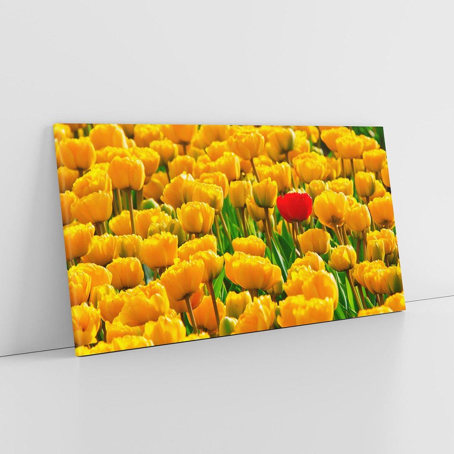 Obraz na płótnie 140x70 - kwiatowa elegancja - tulipany, kwiat