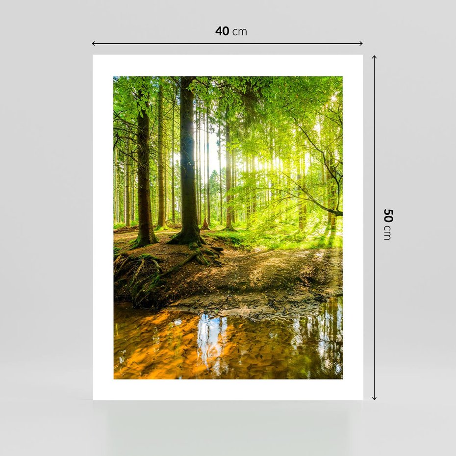 Plakat bez ramy 40x50 - Las nad Wodą - las, woda