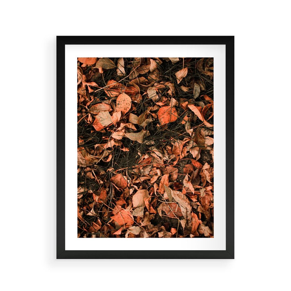 Plakat w ramie 40x50 - Jesienny Splot: Pomarańczowe Liście - liście, pomarańczowe suche liście - rama czarna