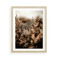 Plakat w ramie 50x70 - Jesienny Mikrokosmos - suchetrawy, jesienny klimat - rama drewno