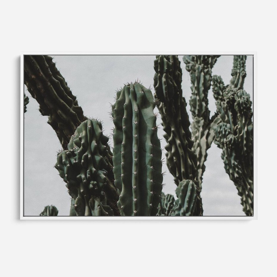 Obraz w ramie 120x80 - Boho oaza wśród kaktusów - kaktusy, pustynia - rama biała