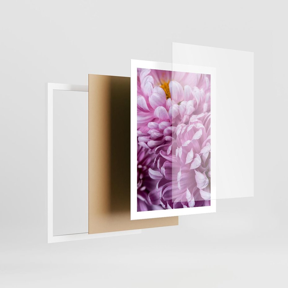 Plakat w ramie 50x70 - Fioletowy zawrót głowy - kwiat, różowy kwiat - rama biała