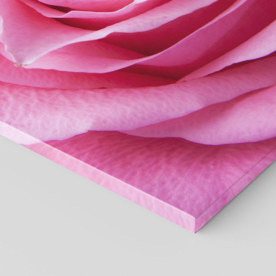 Obraz na płótnie 70x100 - Róża Wspaniałości - róża, kwiat