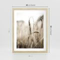 Plakat w ramie 40x50 - Kłosy Pszenicy w Sepii - zboże, kłos pszenicy - rama drewno