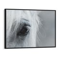 Obraz w ramie 100x70 - Oko Mocy - czarno białe zdjęcie, zbliżenie makro na oko konia - rama czarna