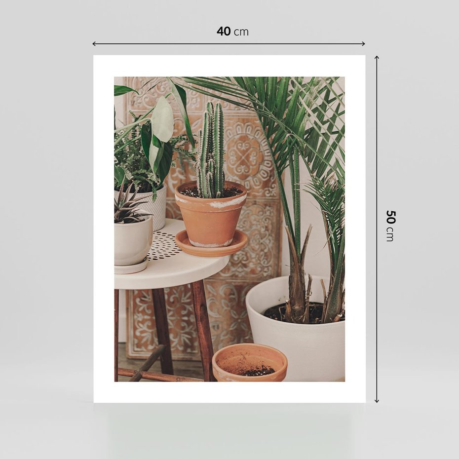 Plakat bez ramy 40x50 - Boho Oaza: Kaktusy w Doniczkach - rośliny kaktusy w doniczkach, boho wnętrze